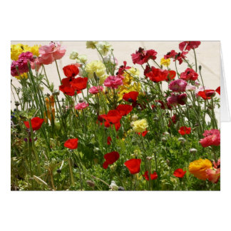 Cartão Campo selvagem