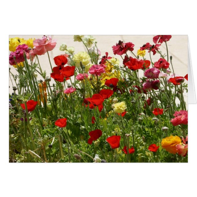 Cartão Campo selvagem (Frente Horizontal)