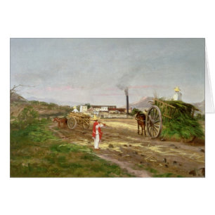 Cartão Camponeses que recolhem o cana-de-açúcar