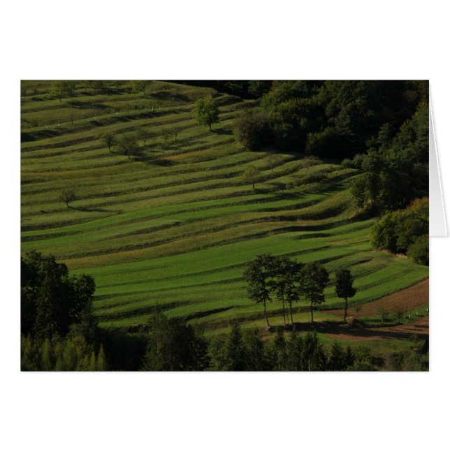 Cartão campos de outono, Prem, Eslovênia (Frente Horizontal)