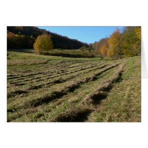 Cartão Campos recentemente segados