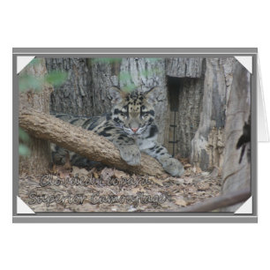 CARTÃO CAMUFLAGEM SUPERIOR NUBLADA DO LEOPARDO