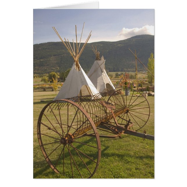 Cartão CANADÁ, Colúmbia Britânica, Enderby. Tempos e (Frente)