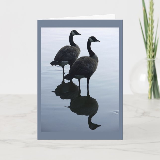 Cartão Canada Goose Cards Canada Geese Greeting Cards (Frente)