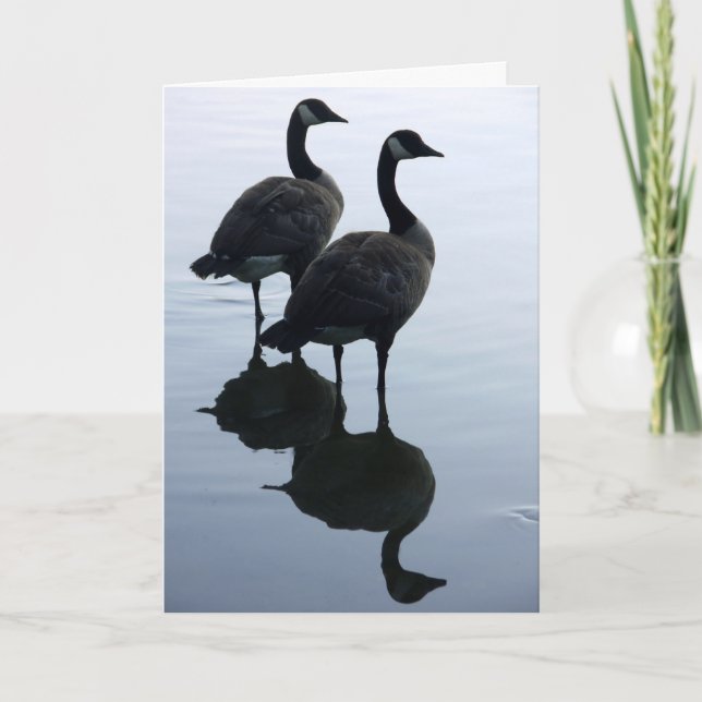 Cartão Canada Goose Cards Canada Geese Greeting Cards (Frente)
