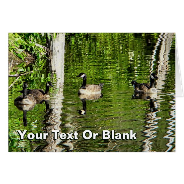 Cartão (Canadá) Goose Green (Frente Horizontal)