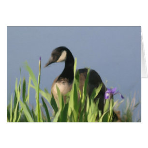 Cartão Canada Goose Irises Animal Art Card