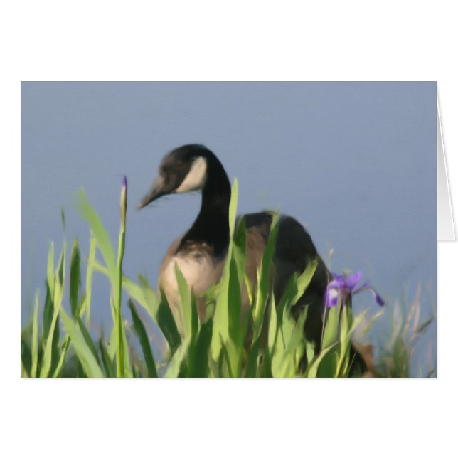 Cartão Canada Goose Irises Animal Art Card (Frente horizontal)