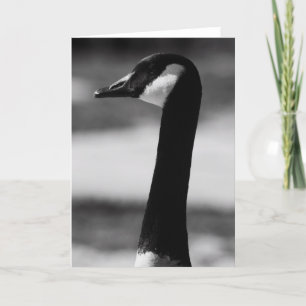 Cartão Canadian Goose Portrait Greeting Card,Note Card