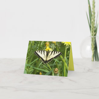 Cartão Canadian Tiger Swallowtail Butterfly Notecard