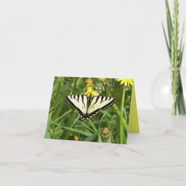 Cartão Canadian Tiger Swallowtail Butterfly Notecard (Frente)
