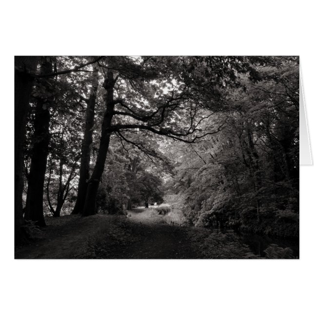 Cartão Canal, Bute Park, Cardiff, Gales (Frente Horizontal)