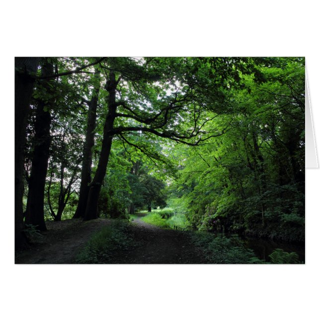 Cartão Canal, Bute Park, Cardiff, Gales (Frente Horizontal)