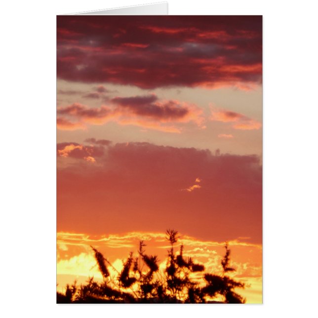 Cartão Canberra, pôr do sol na Austrália. (Frente)