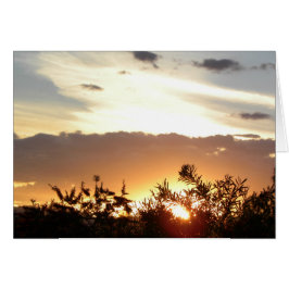 Cartão Canberra Sunset