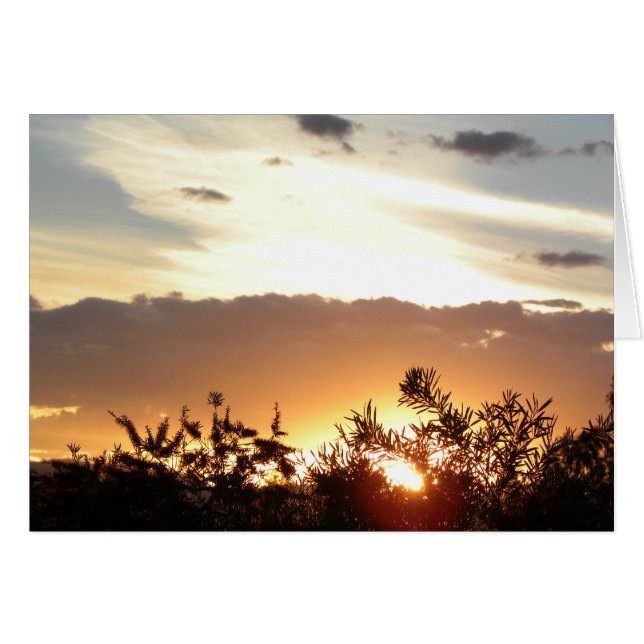 Cartão Canberra Sunset (Frente Horizontal)