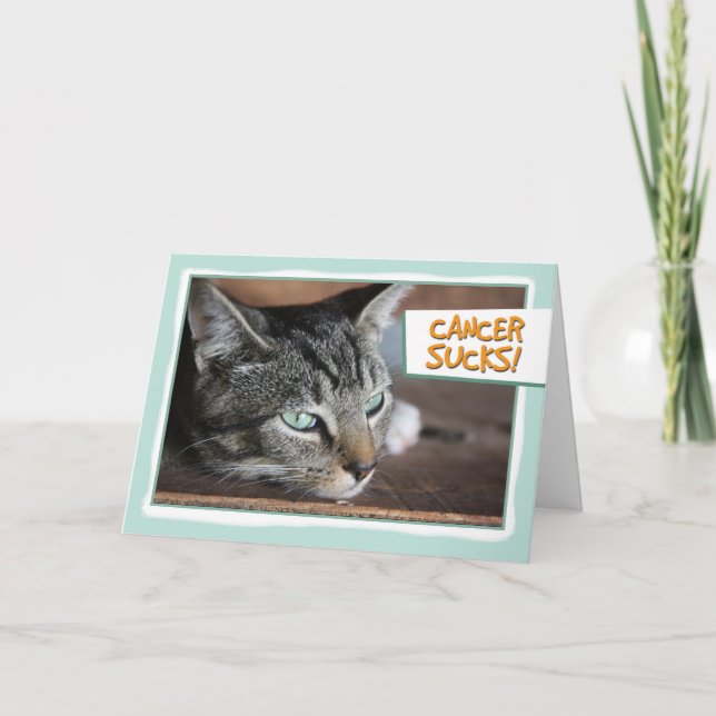 Cartão Cancer Sucks, Sad Cat (Frente)