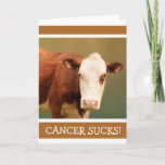 Cartão Cancer Support Funny Cow<br><div class="desc">Mande algumas risadas para um paciente cancer com este cartão de vaca engraçado. O humor realmente ajuda,  mesmo por um ou dois instantes. Personalize a mensagem para criar sua própria saudação especial. Obrigados para procurar! Foto ©Christine Greenspan</div>