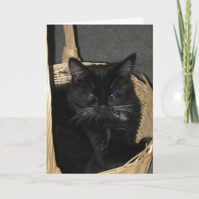 Cartão cândido dos gatinhos (Frente)