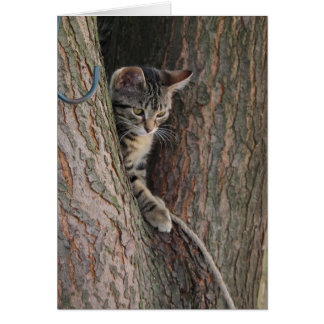 Cartão Candy, O Gato