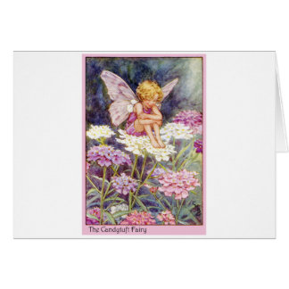 Cartão Candytuft Fairy