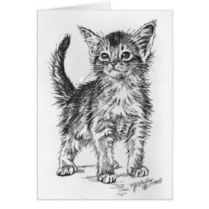 Cartão Caneta e tinta Abyssinian do gatinho