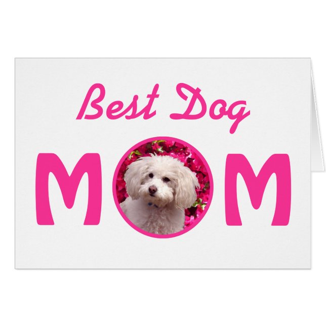 Cartão Caniche bonito (Frente Horizontal)