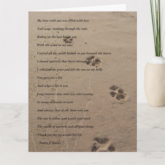 Cartão Canine Sympathy Card (Frente)