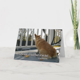 Cartão Canine Sympathy Card