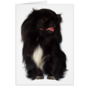 Cartão Canino