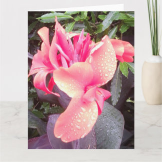 Cartão Canna Lily Photo BIG Card e Insp Photo/words trase