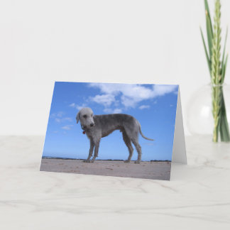 Cartão canon ixus 057