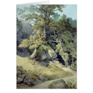 Cartão Canonteign, Devon