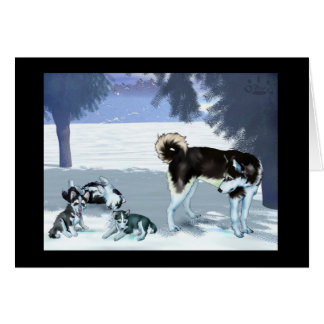 Cartão cant que nós apenas jogamos