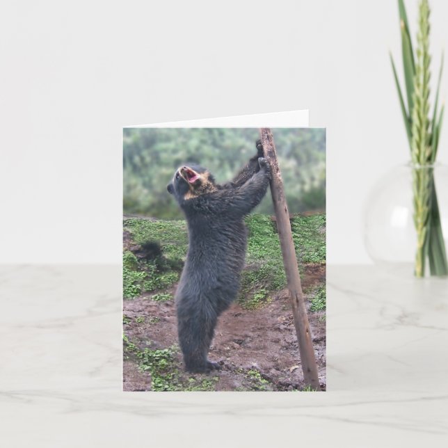 Cartão Cantando Bubu Notecard (Frente)