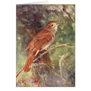 Cartão Canto do rouxinol