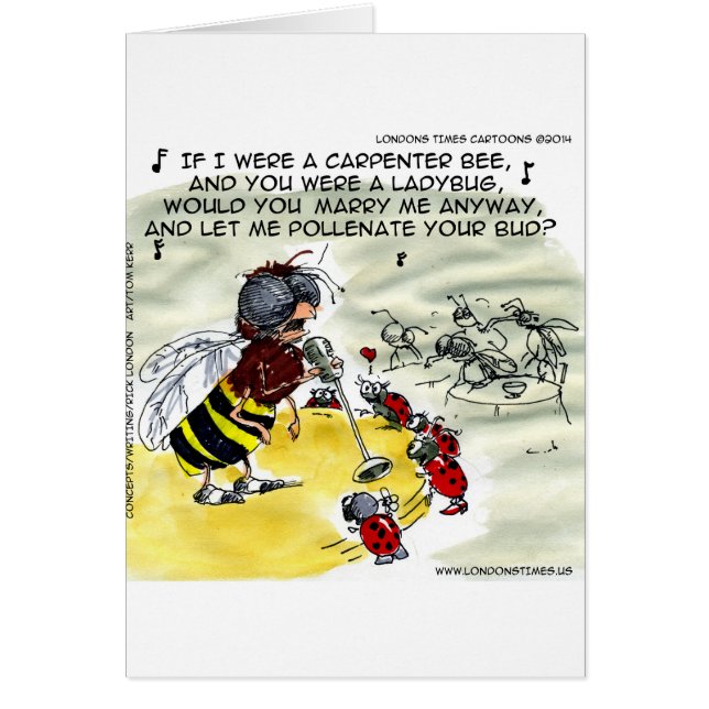 Cartão Cantores do Insect Nightclub Engraçados (Frente)