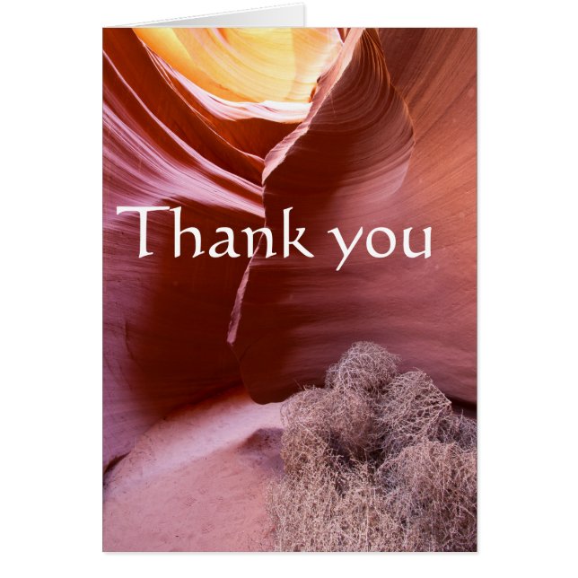 Cartão Canyon de muitas cores, obrigado você (Frente)
