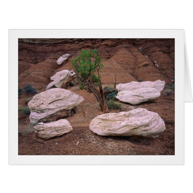 Cartão "Canyon Pods" (Frente horizontal)