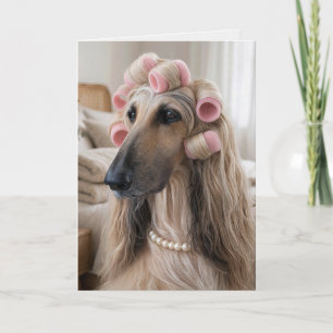 Cartão Cão Afegão Usando Rolo de Espuma Cor-de-Rosa