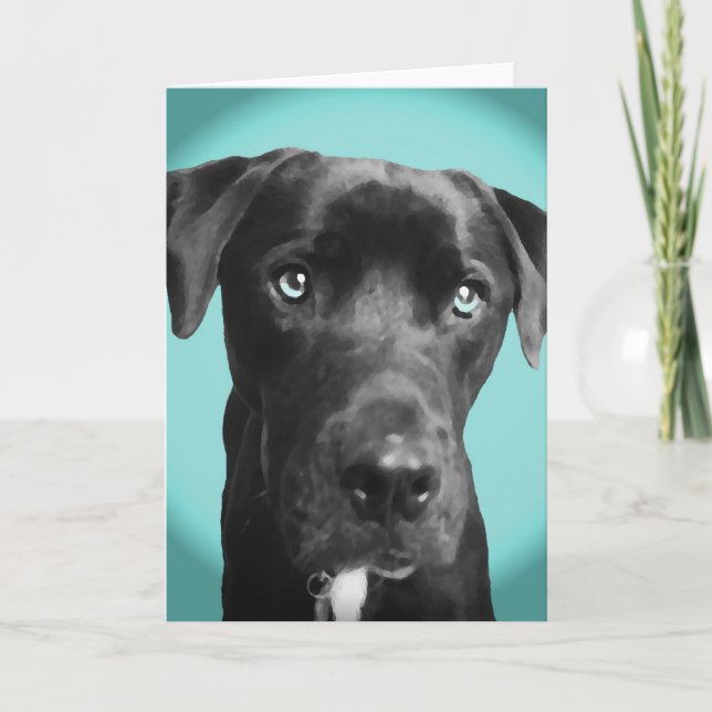 Cartão Cão azul (Frente)