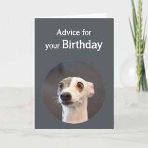 Cartão Cão bonito do humor do aniversário demasiado hum