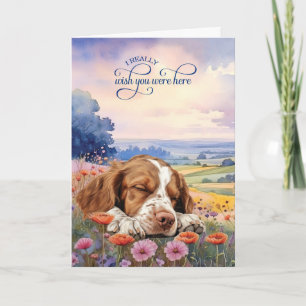 Cartão Cão Brittany Spaniel Flores Silvestres Sinto Sauda