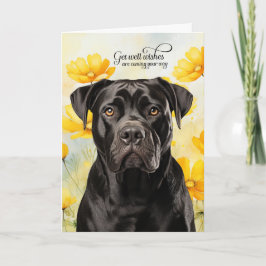 Cartão Cão Cane Corso Papoulas Douradas Melhoras