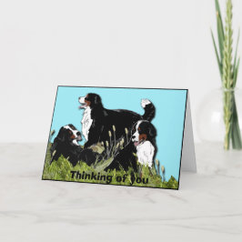 Cartão Cão da Montanha Bernês
