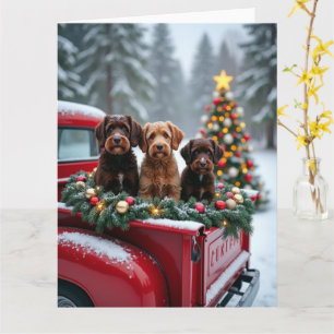 Cartão Cão de Água Português Caminhão Vermelho de Natal F