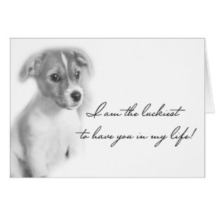 Cartão Cão de filhote de cachorro