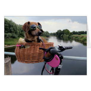 Cartão Cão-de-galho cavalgando em moto