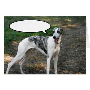 Cartão Cão de Greyhound