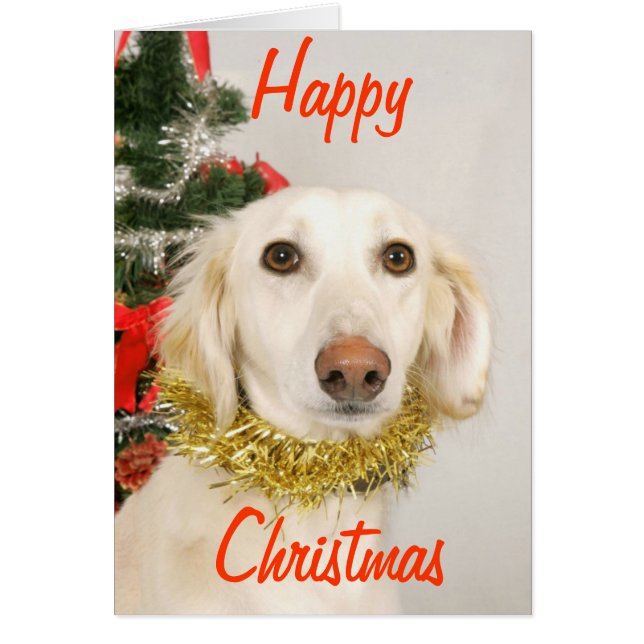 Cartão Cão de Natal 2 (Frente)